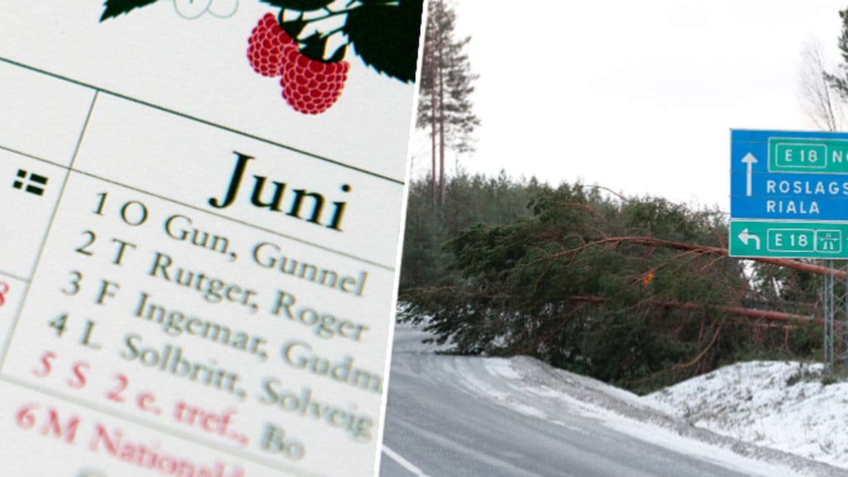 Stormen Alfrida döptes av SMHI. Men varför?