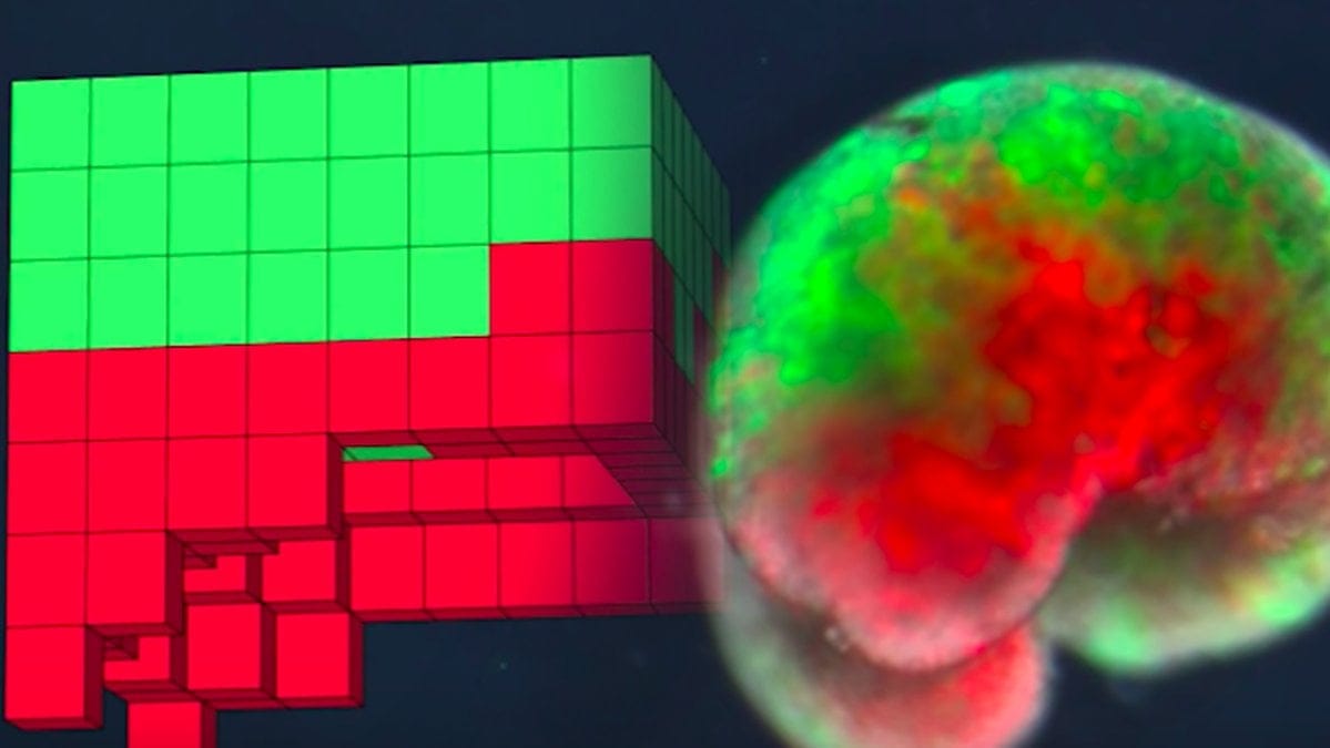 Algoritmer har varit med och framtagit en helt ny form av liv.