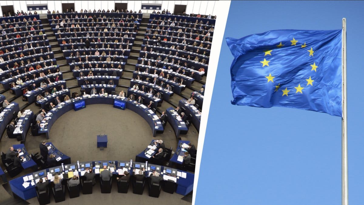 Det här gör Europaparlamentet.