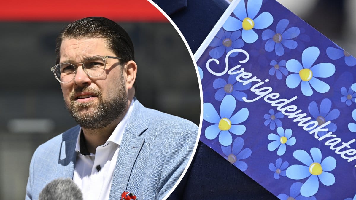 Jimmie Åkesson vänster. Sverigedemokraterna flagga höger.