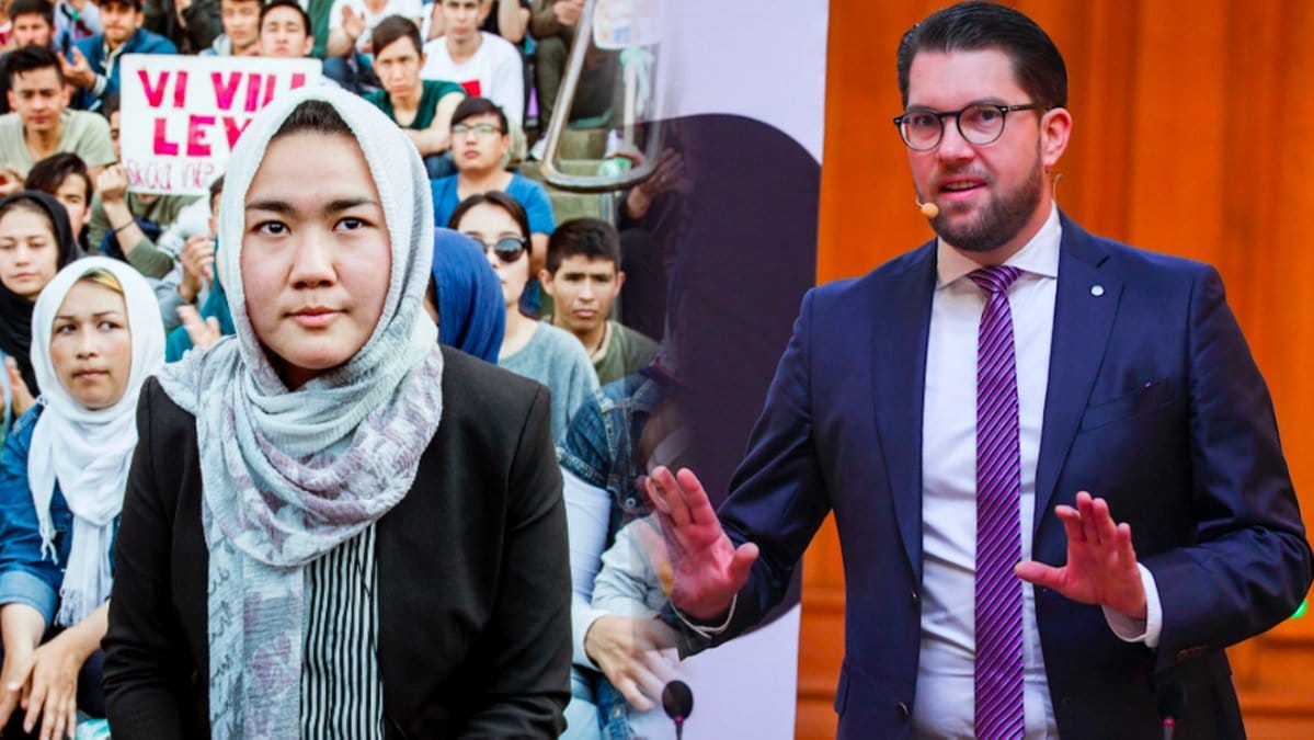 Montage: Fatemeh Khavari och Jimmie Åkesson