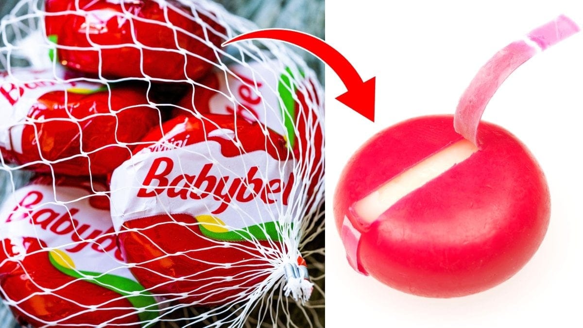 det-ar-det-roda-vaxet-runt-babybel-gjort-av
