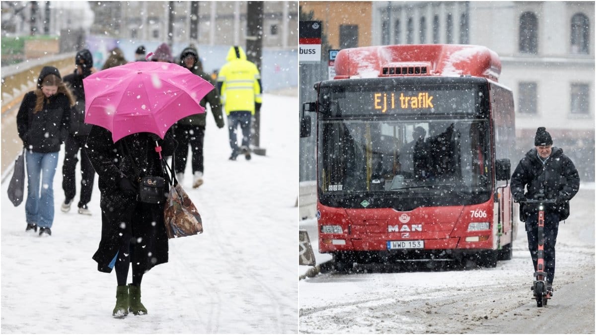 Nu kommer snön tillbaka. 