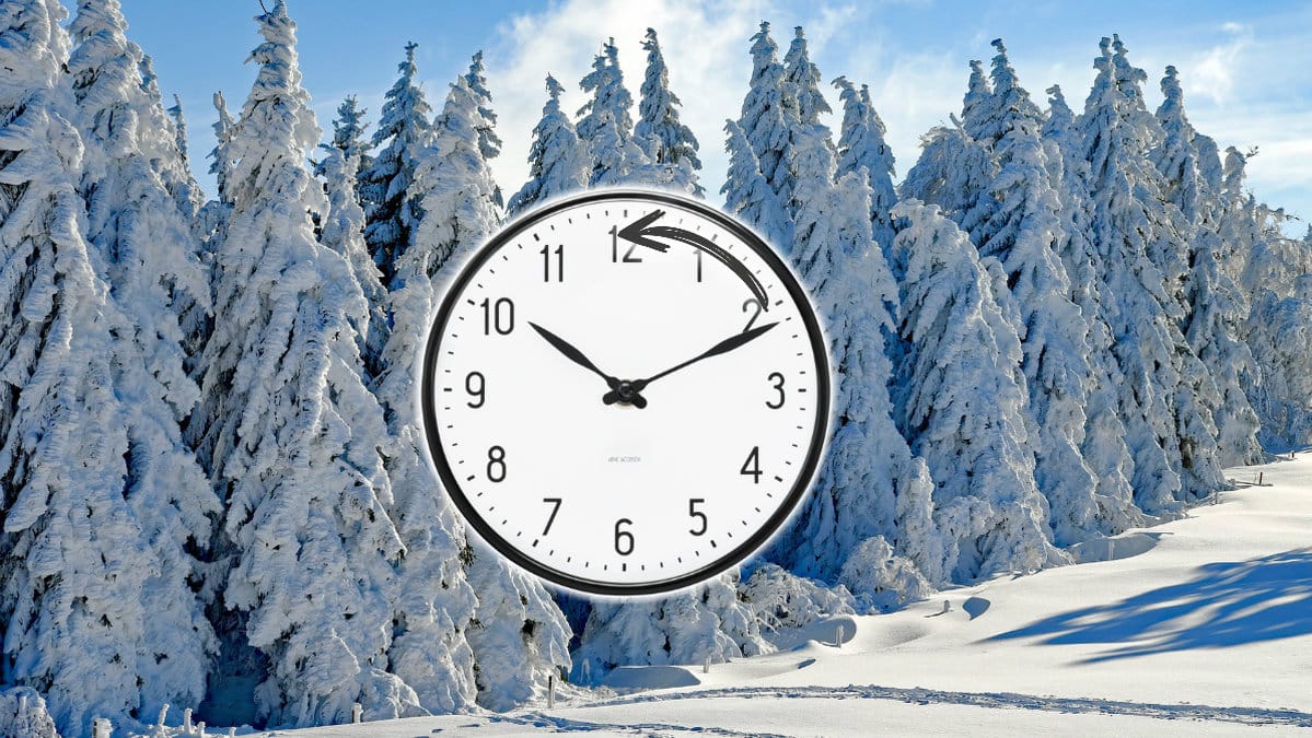 träd med snö på sig, en klocka.