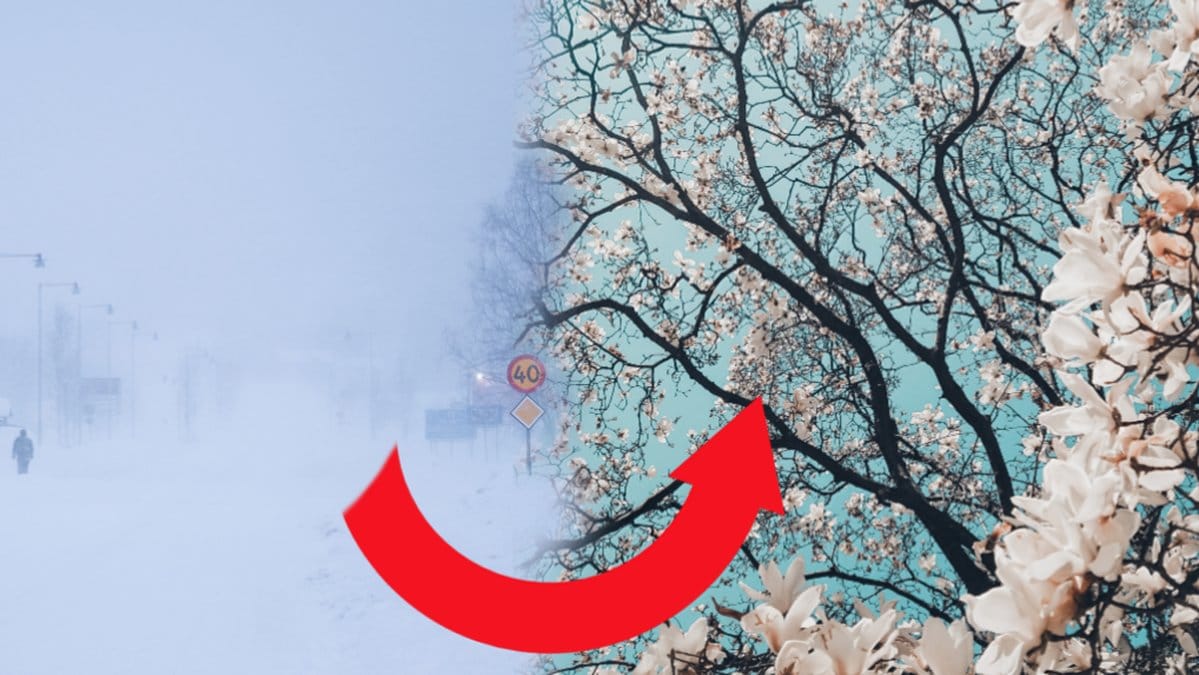 Snö och vinter i all ära, men när kommer våren?