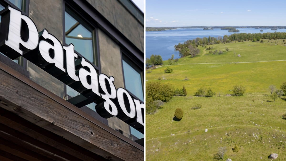 Patagonias ägare skänker företaget för att rädda planeten. 