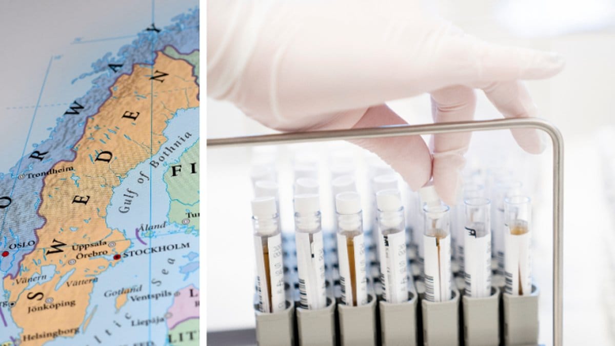 Här är regionerna där den brittiska coronavarianten dominerar.