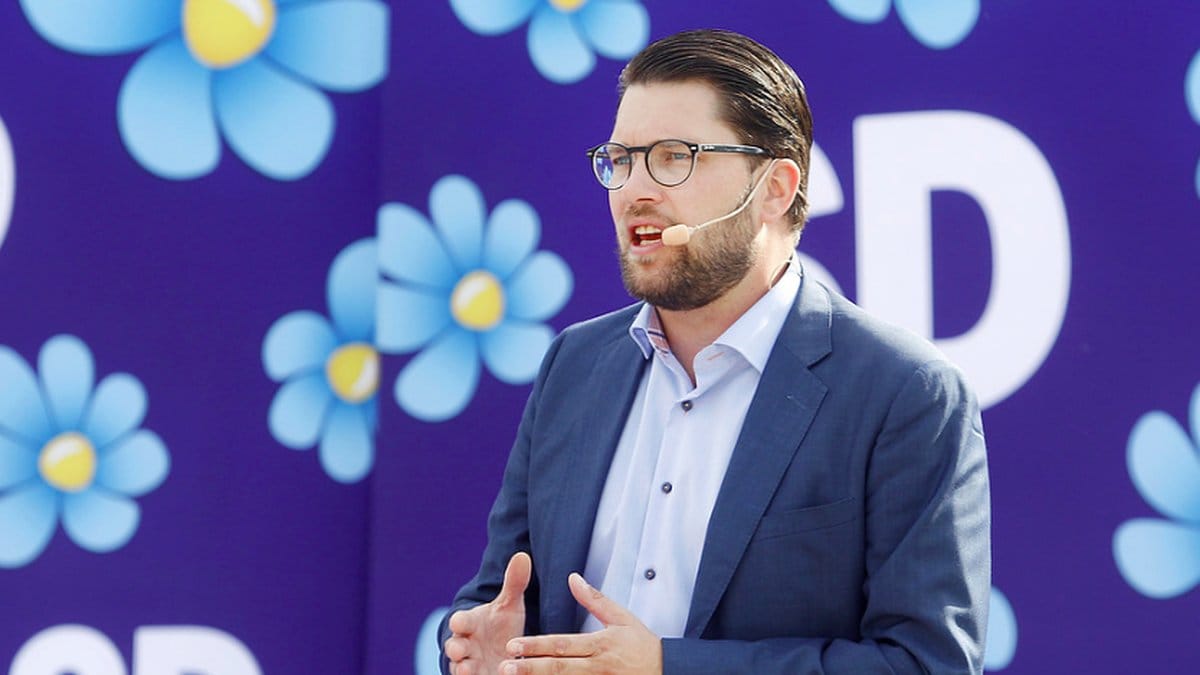 Jimmie Åkesson, Sverigedemokraterna