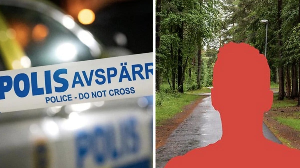 Den 15-årige pojke som åtalats för försök till mord och grov våldtäkt mot barn ska genomgå en liten sinnesundersökning. 