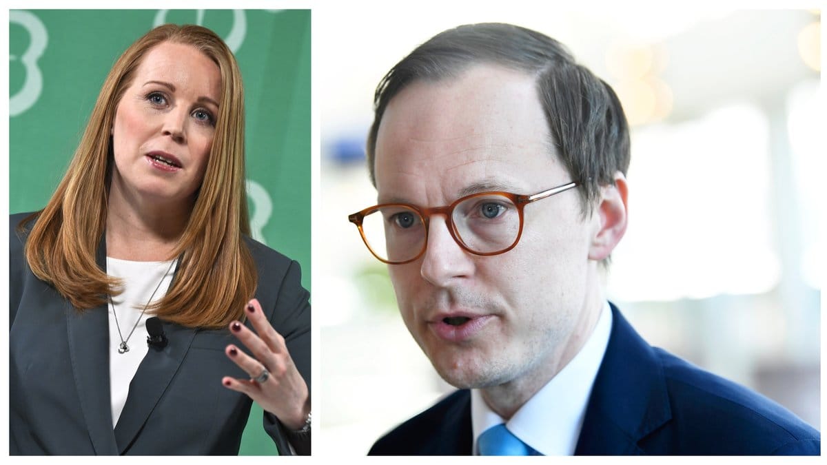 Liberalerna nobbar Annie Lööfs (C) förslag om att omförhandla januariavtalet.