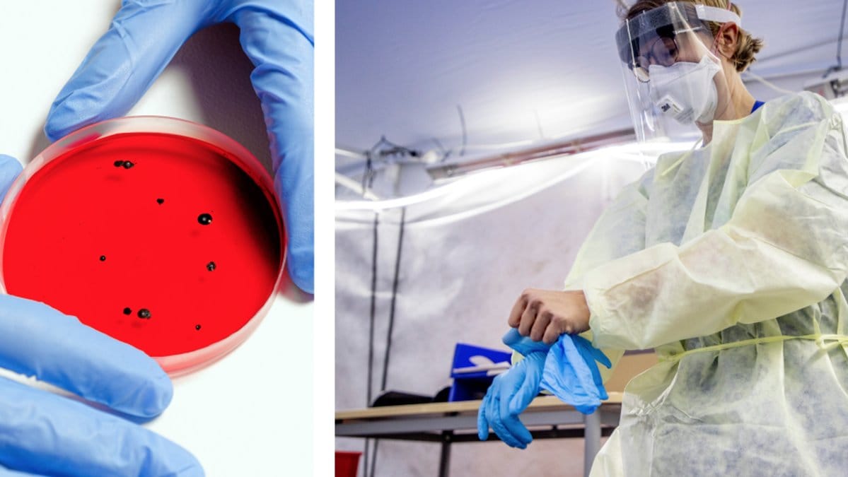 Upptäckten: Du kan ha antikroppar – utan att veta om det