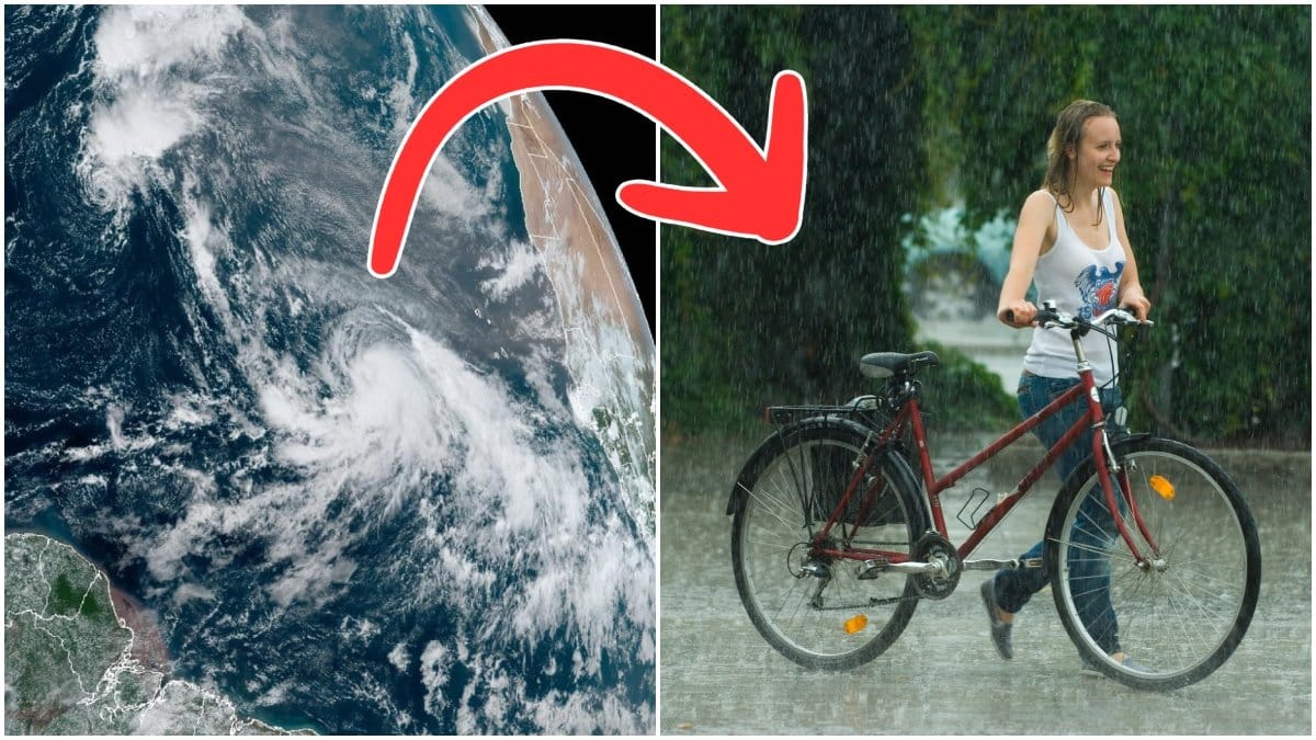Meteorologen Lasse Rydqvist går ut med flera skarpa uppmaningar inför stormens ankomst.