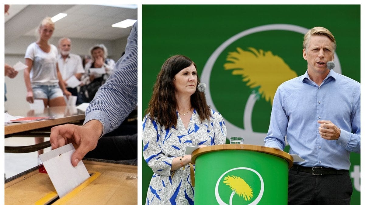 Valet 2022 närmar sig. Vad står Miljöpartiet för?