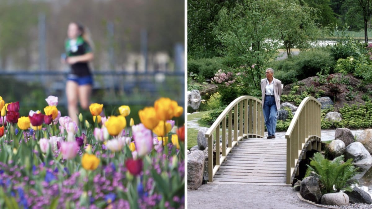7 vackra trädgårdar att besöka i Stockholm.
