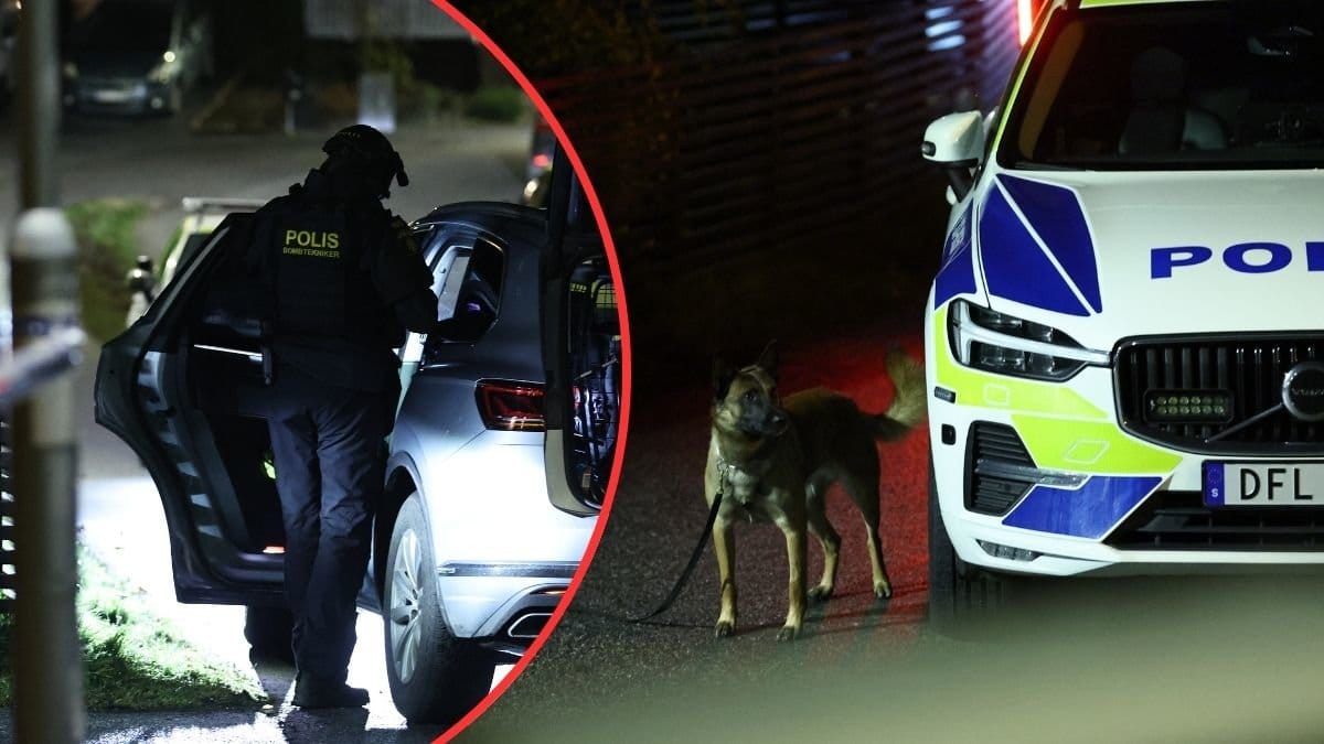 polis och polisbil och hund