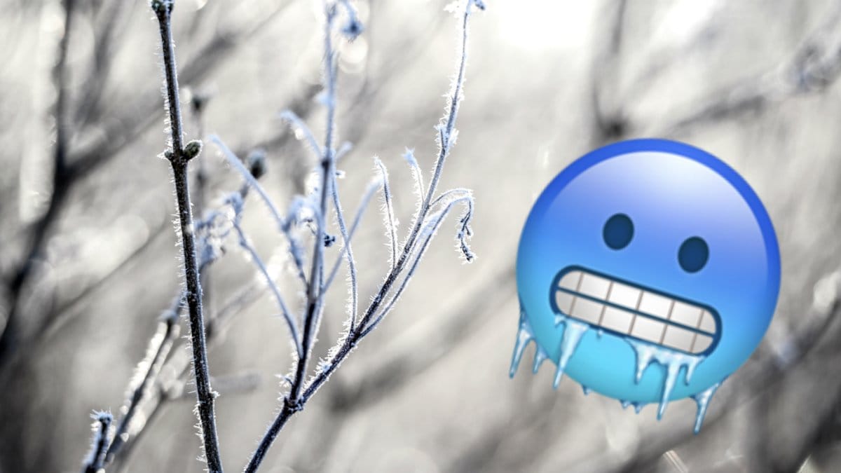 Nu har den meteorologiska vintern kommit till Sverige
