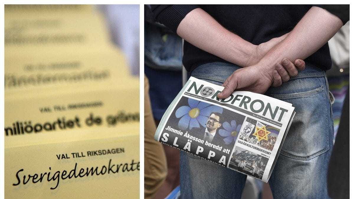 289 kandidater i valet 2022 kopplas till nazism eller annan högerextremism.