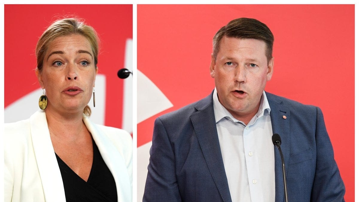 Socialdemokraterna vill prioritera våldet mot kvinnor som gängbrott.