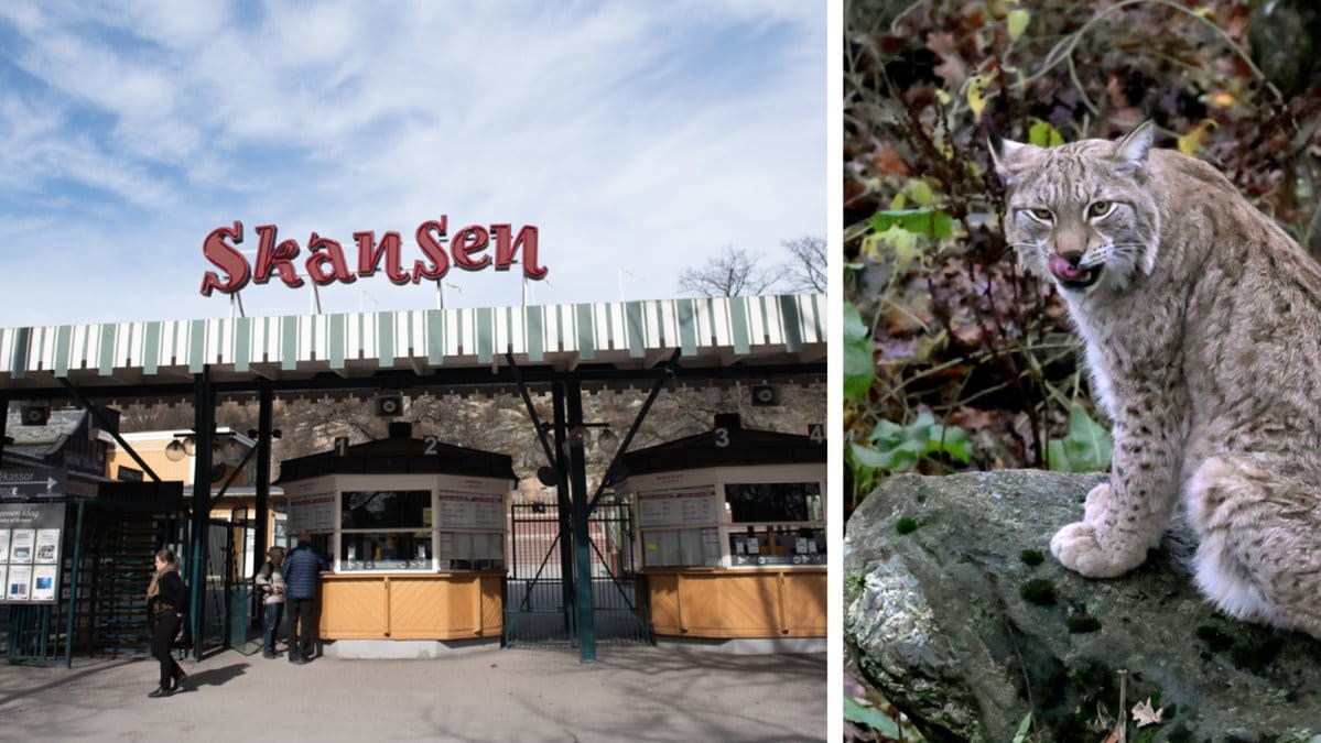 Skansen öppnar