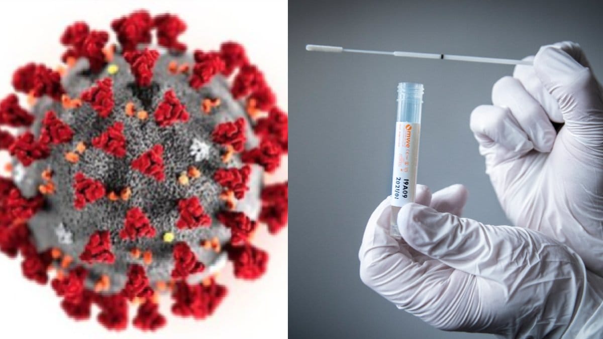 Fler coronatest