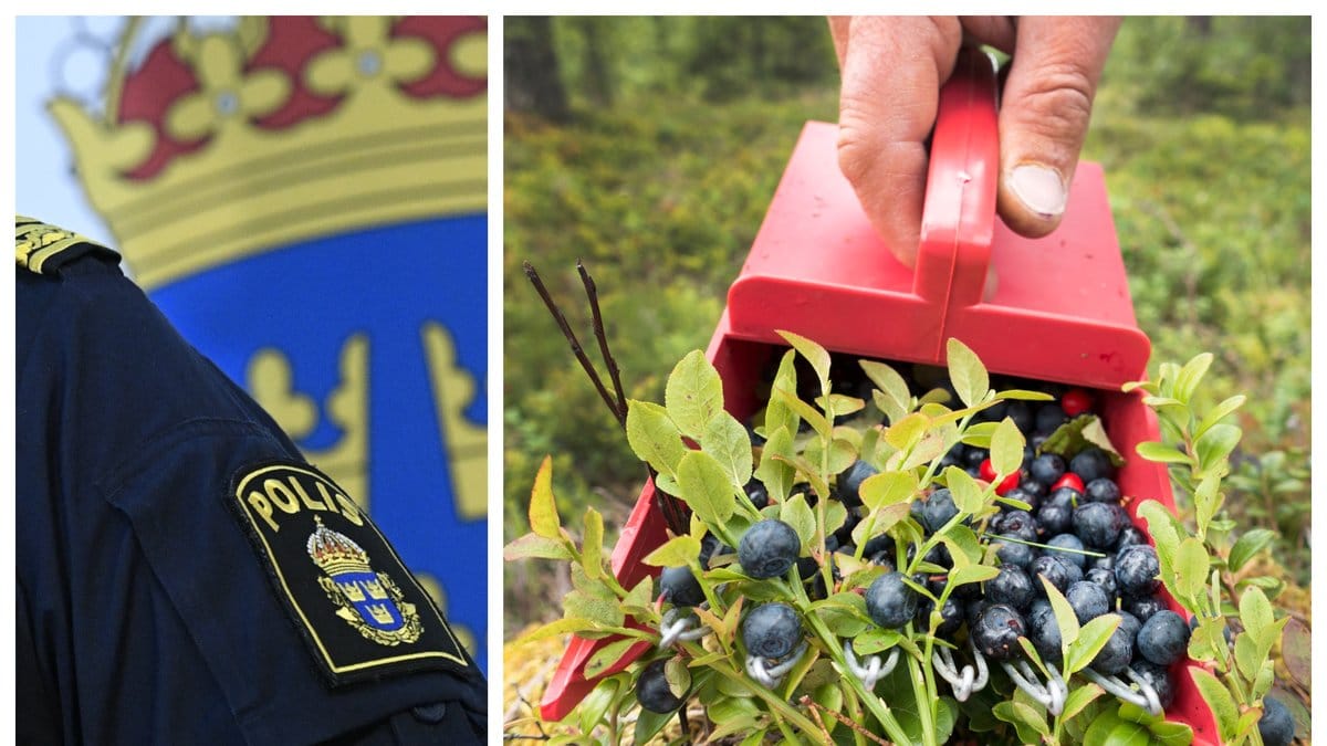 Polisen kommer med flera viktiga tips till den som ska ge sig ut i skog och mark.