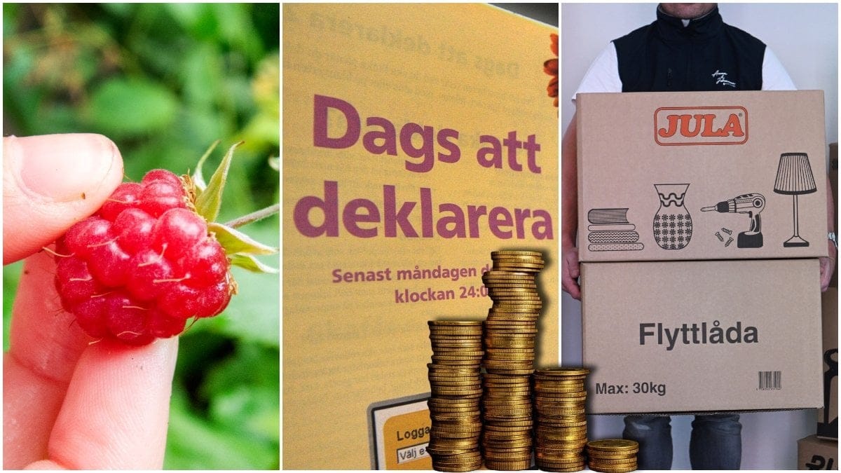Nyheter24 har listat alla avdrag du kan tänkas göra i deklarationen 2025.