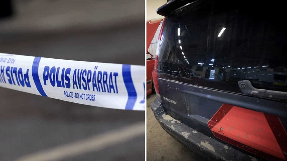 Tre ungdomar var inblandade i olyckan. En pojke och en flicka har avlidit efter EPA-traktor olyckan.