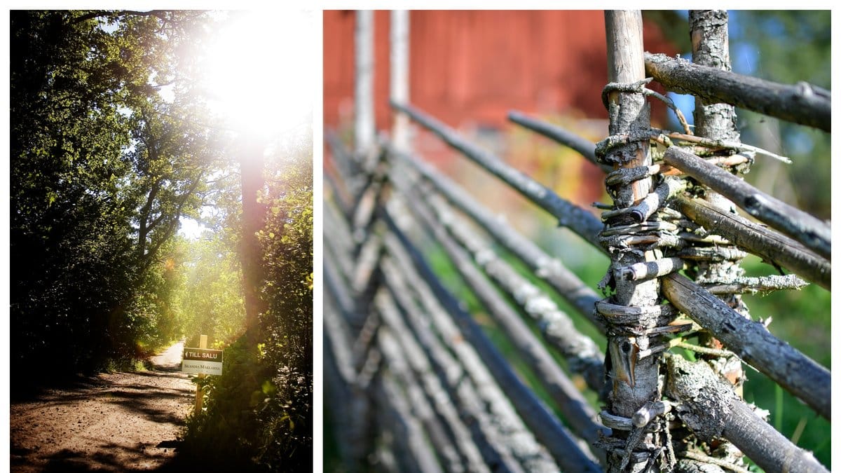 Nyheter24 listar de största tomterna som såldes i Sverige förra veckan. 