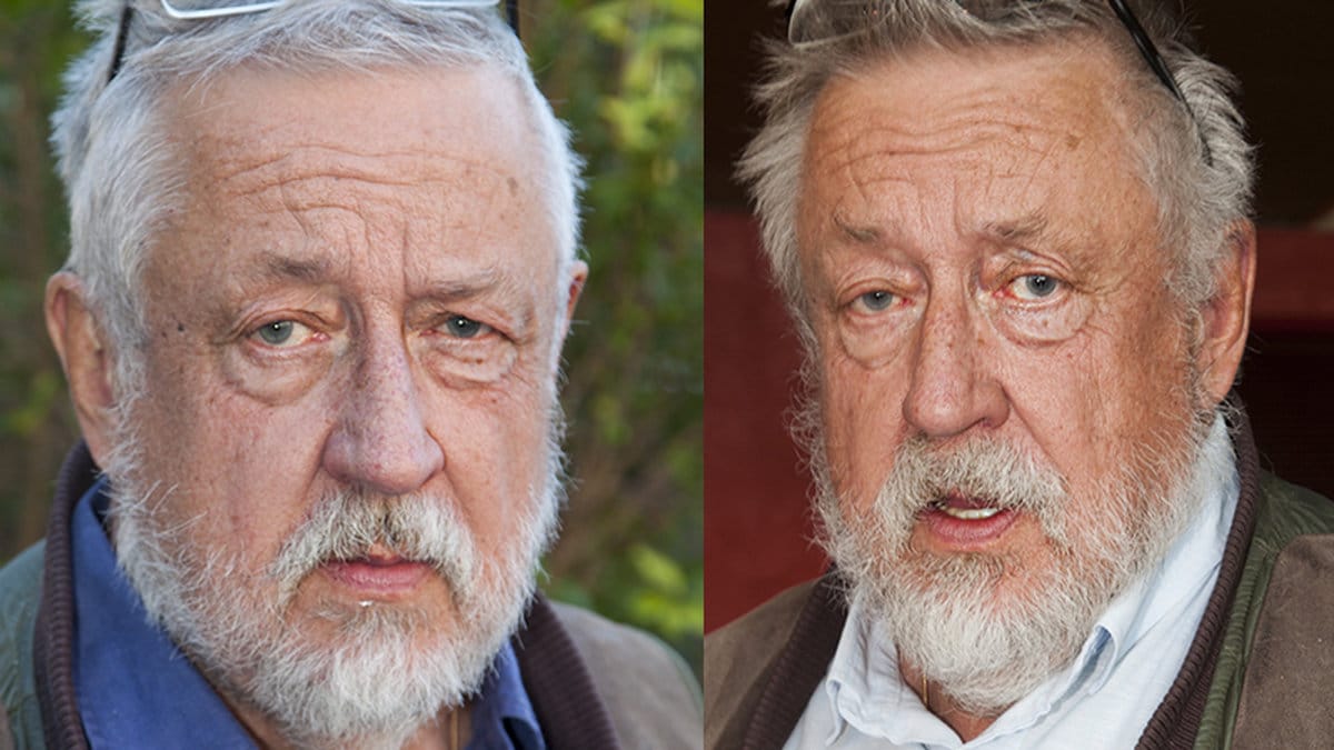 Leif GW Persson