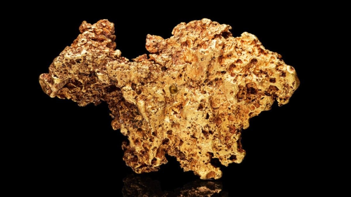 Guldklimpen vägde svindlande 4,5 kilo.