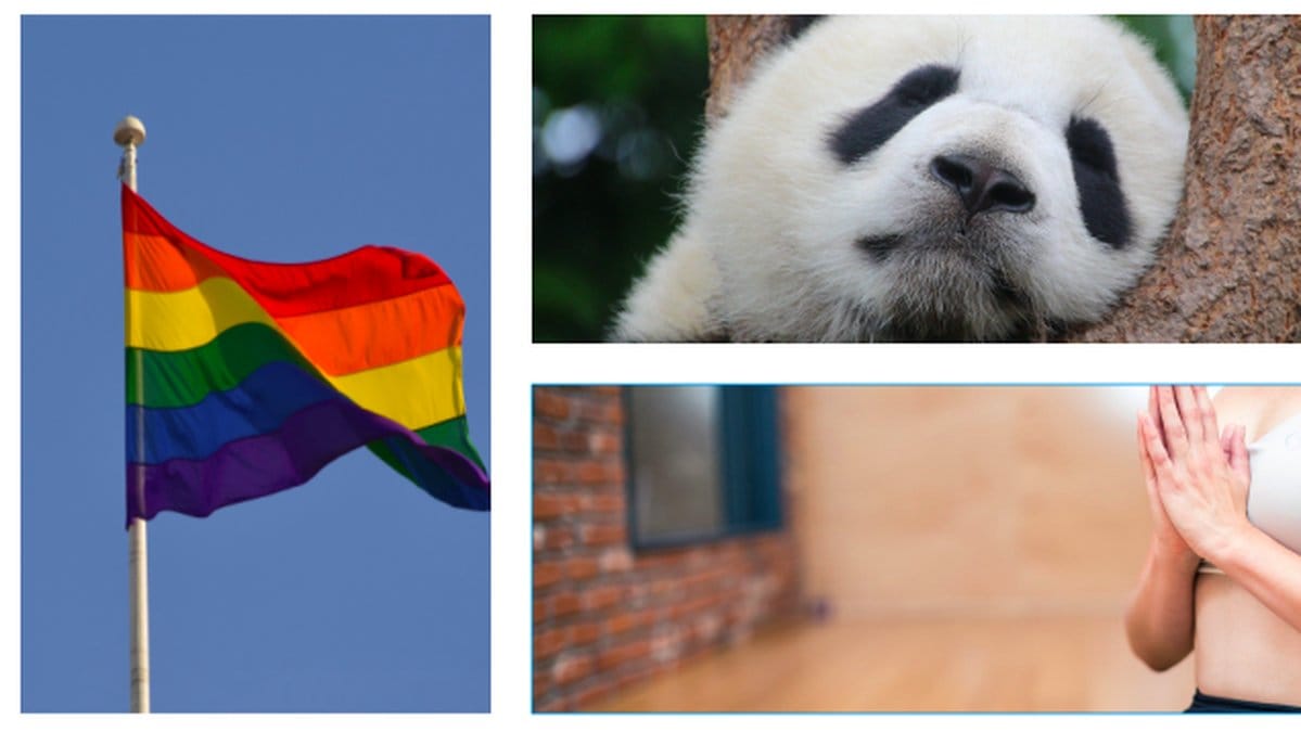 Här listar vi några härliga nyheter från det annars ganska mörka 2020.