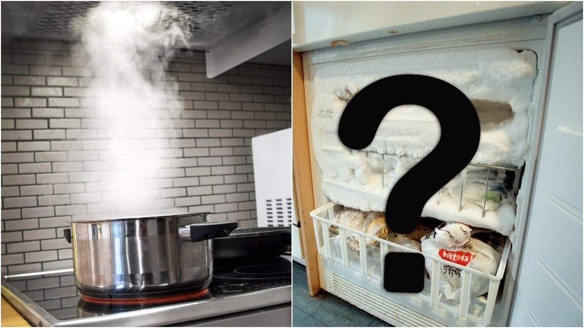 Det finns en mängd livsmedel som kan frysas in. Men bör man frysa in färdiglagad mat?