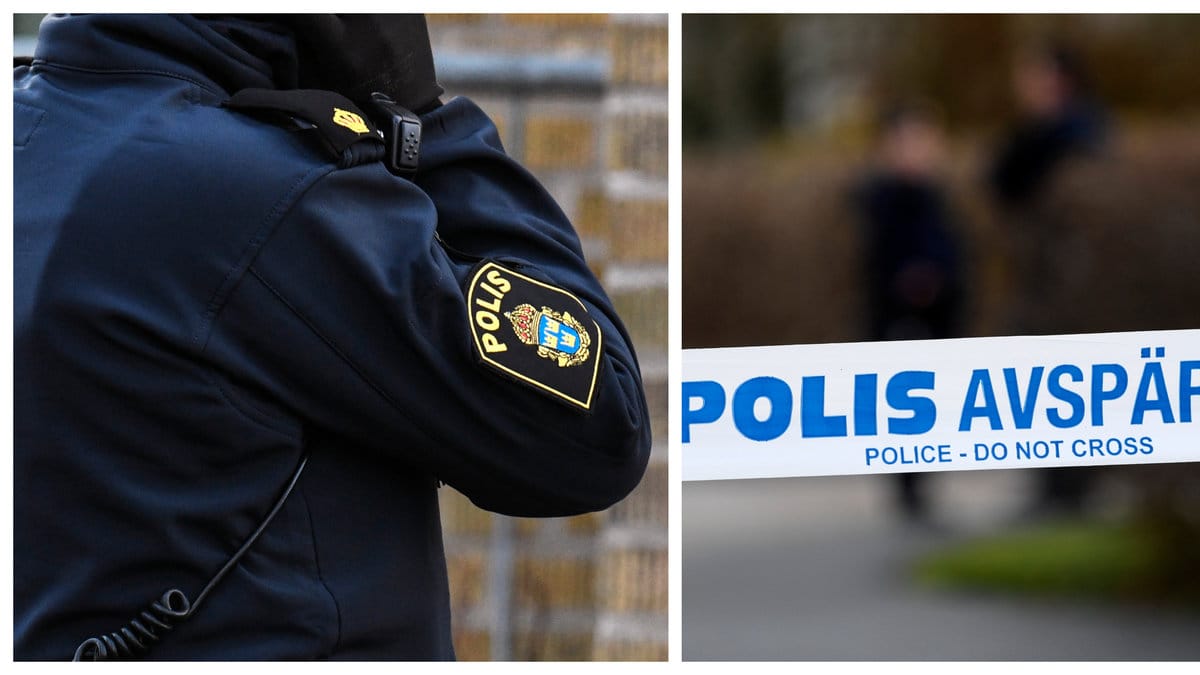 Maskerade män klev in på julfest.