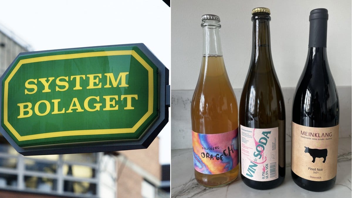 Sugen på vin? Här är tips på sju trevliga flaskor att testa från Systembolaget.