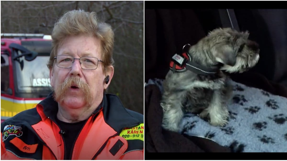 Bärgarhunden Signe gör entre i Vägens hjältar