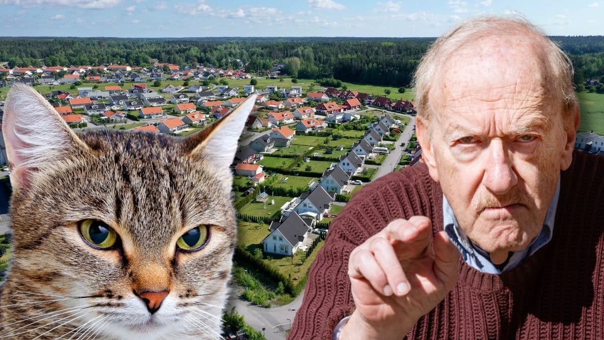 Katt, villaområde och arg gammal man