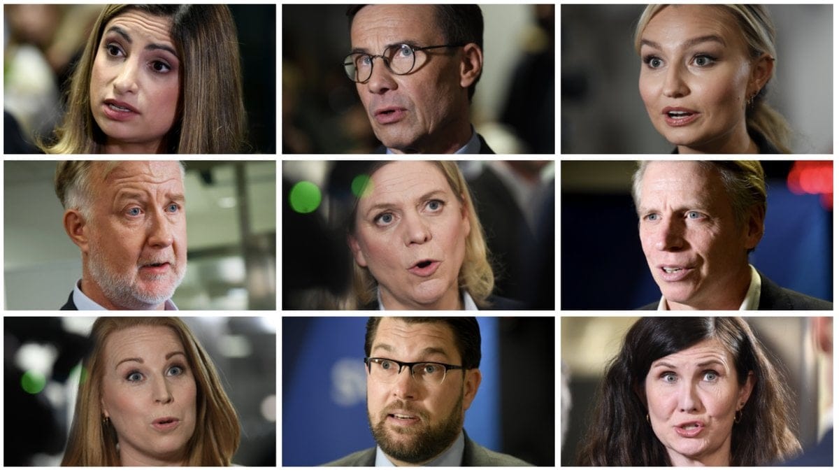 Vad tjänar egentligen Sveriges partiledare? 