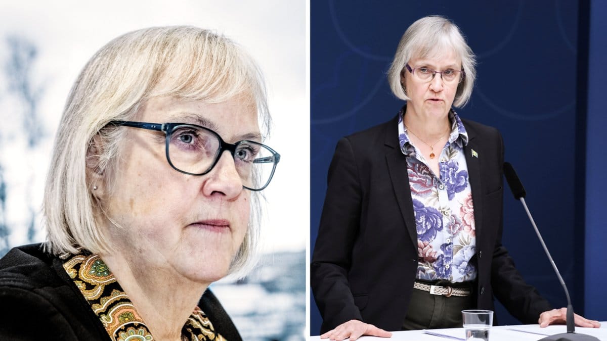 Lena Erixon, Trafikverkets generaldirektör