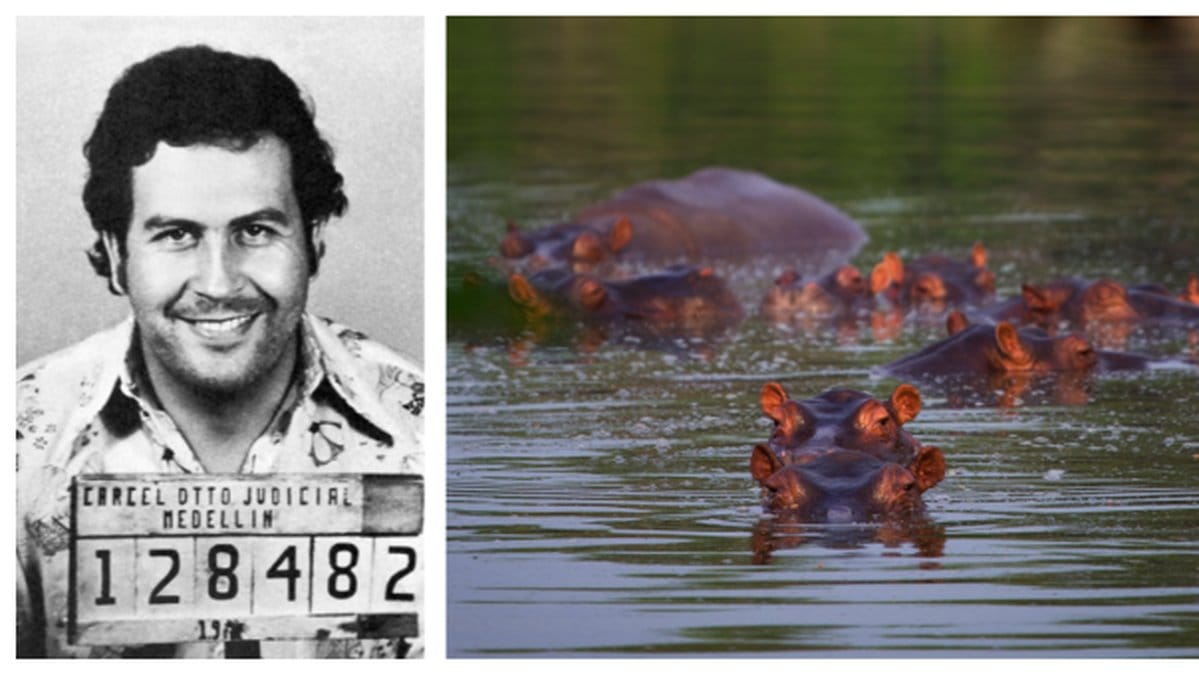 Foto: Stella Pictures/Ivan Valencia/TT