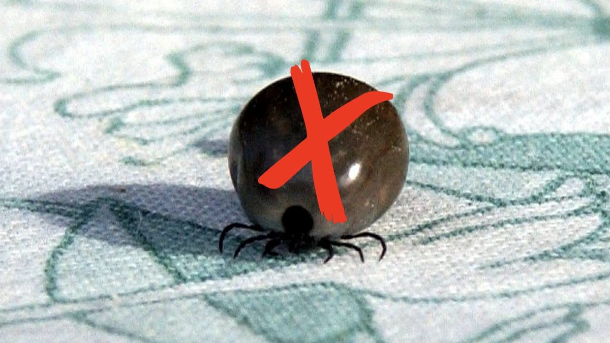 Hemmaknep-mot-fastingar