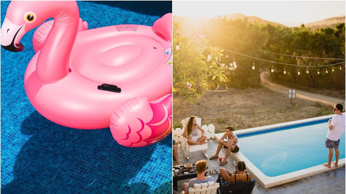 Uppblåsbar flamingo och vänner vid en pool