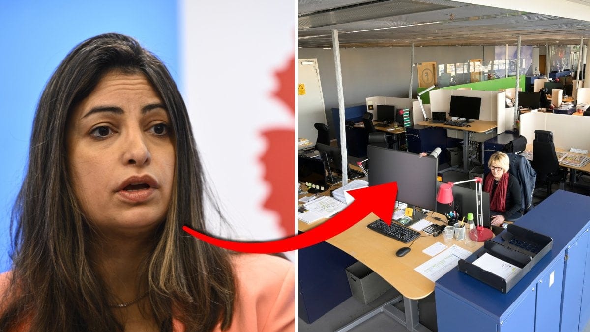 Nooshi-Och-Folk-Som-Arbetar-Kontor