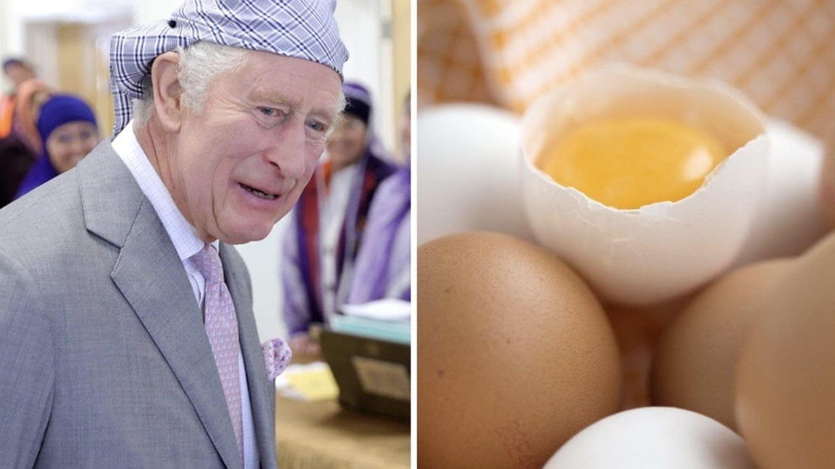 I samband med Lutonbesöket blev kungen utsatt för äggkastning.