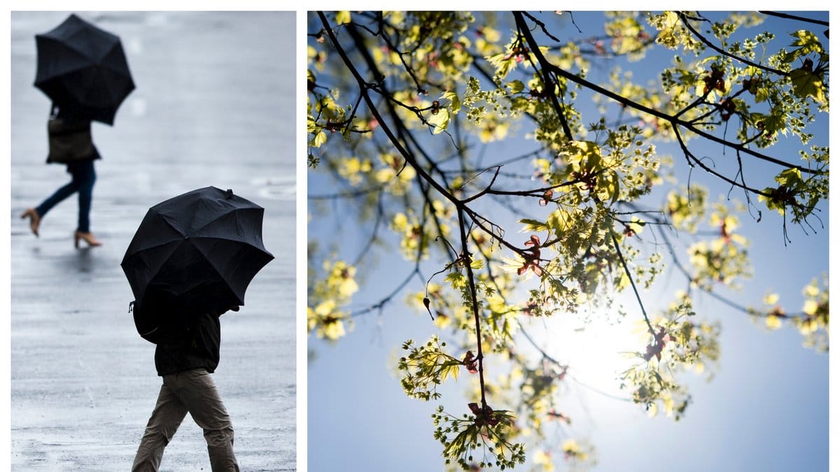 Hur blir vädret på Valborg 2021? Nyheter24 har pratat med SMHI!