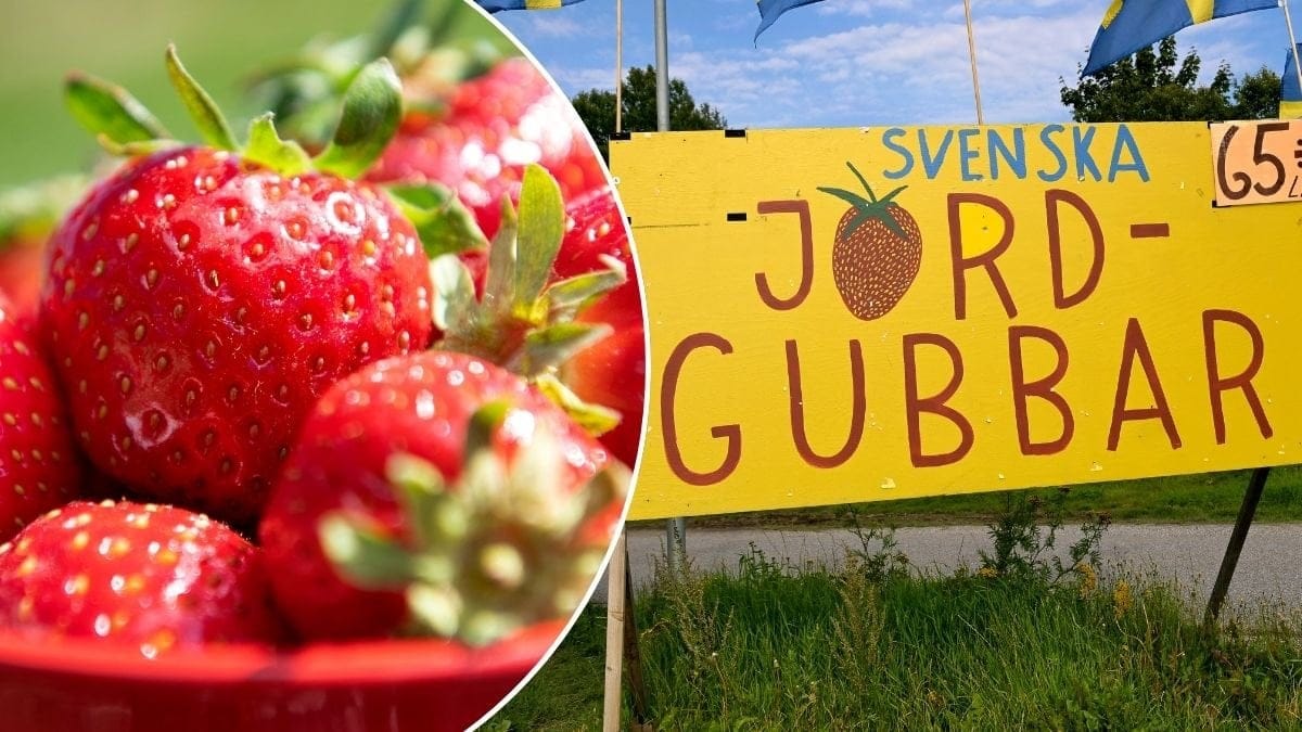 Bilder på jordgubbar och en skylt med svenska jordgubbar.