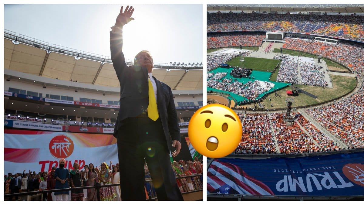 Storartade hyllningen av Donald Trump.