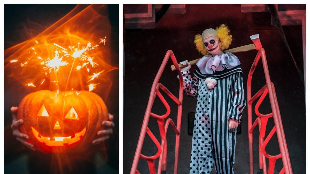 Nyheter24 sammanfattar vad som händer på nöjesparkerna under halloween 2021.