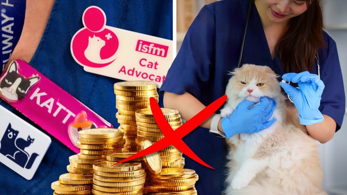 Veterinär och katt.