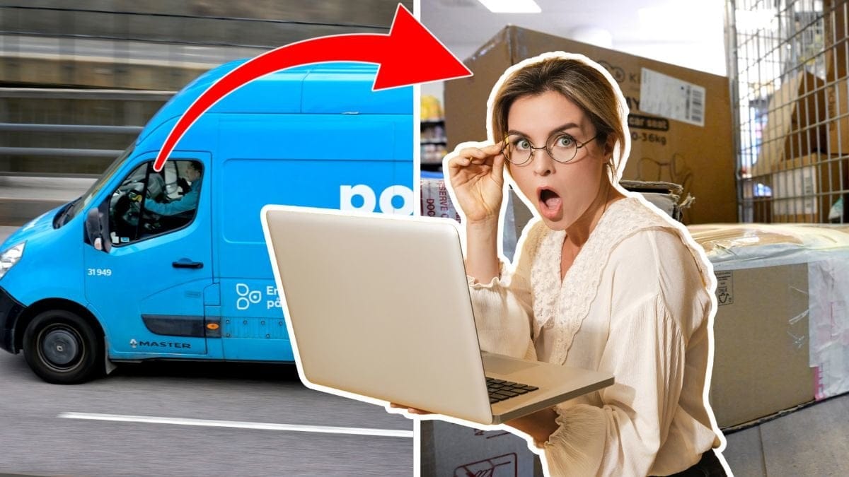 paket, kvinna med dator