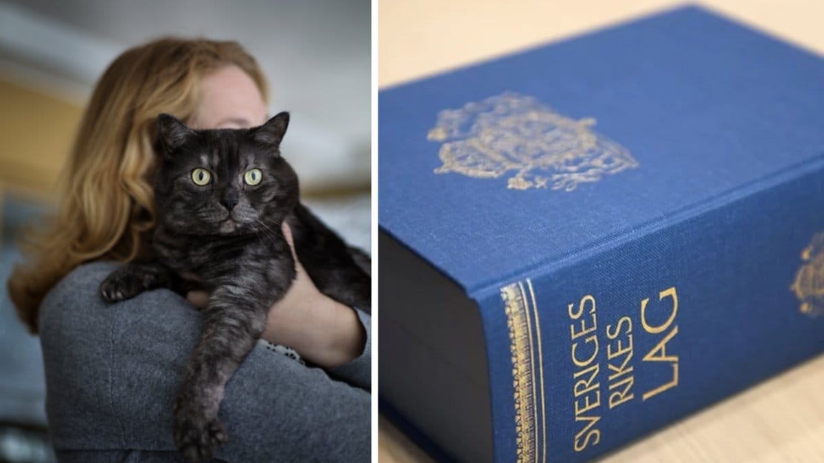 Över en miljon katter saknas i Jordbruksverkets​ register, vilket är ett brott mot lagen.